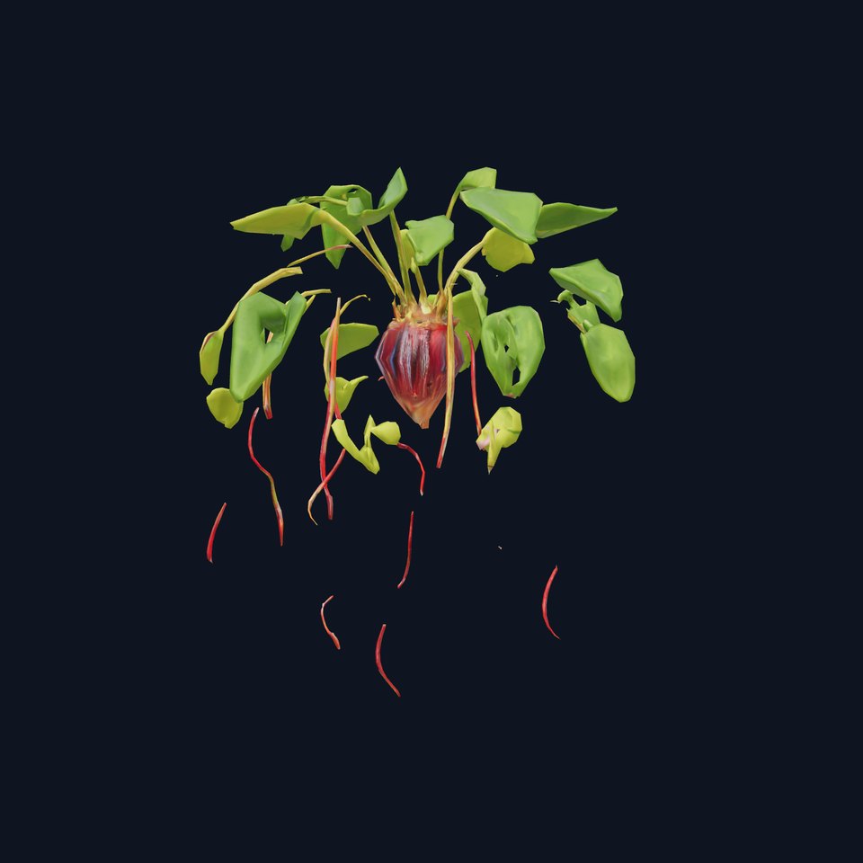 Green Foliage Plant model pack